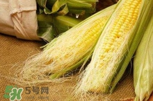 玉米須水什么人不能喝？玉米須煮水小孩能喝嗎？
