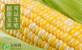 水果玉米是轉基因的嗎？水果玉米可以生吃嗎