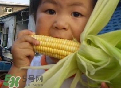水果玉米是甜玉米嗎？水果玉米和甜玉米的區(qū)別