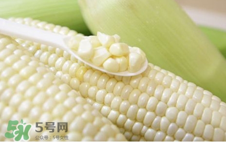 糯玉米是轉(zhuǎn)基因嗎？糯玉米是不是轉(zhuǎn)基因