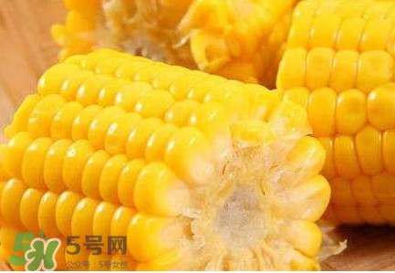 水果玉米熱量高嗎？一根水果玉米的熱量是多少