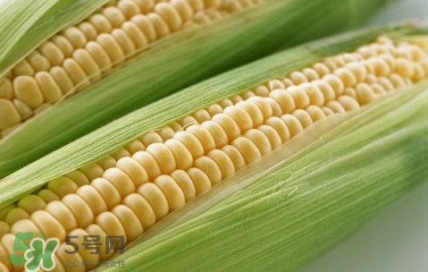 水果玉米熱量高嗎？一根水果玉米的熱量是多少