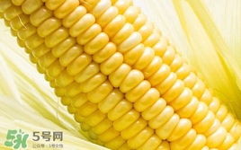水果玉米是轉基因的嗎？水果玉米可以生吃嗎
