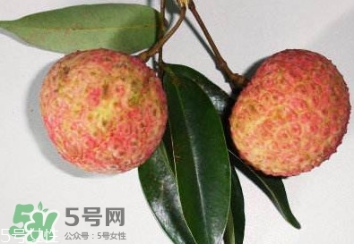 雞嘴荔枝多少錢一斤2017？香山雞嘴荔枝什么價錢