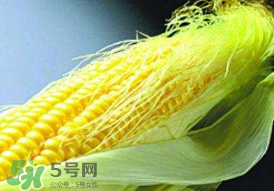 玉米須怎么吃降血糖？玉米須如何降血糖