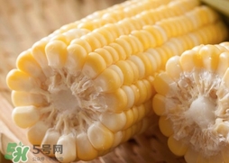 水果玉米多少錢一斤2017？水果玉米市場價(jià)格