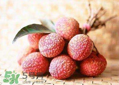 貴妃荔枝是哪里的？貴妃荔枝的產(chǎn)地是哪里