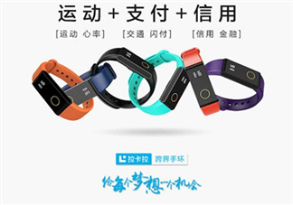 拉卡拉手環(huán)多少錢(qián)？拉卡拉手環(huán)價(jià)格