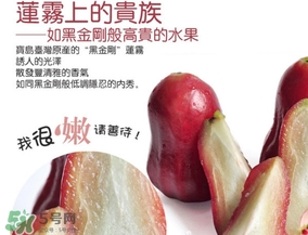黑金剛蓮霧好吃嗎？黑金剛蓮霧多少錢一斤2017？