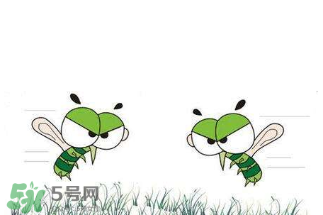 招蚊子是什么原因？招蚊子體質(zhì)怎么辦？