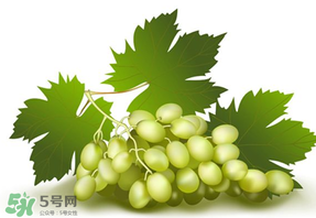 青提不能和什么一起吃？青提哪些人不能吃？