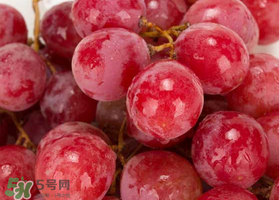 提子什么季節(jié)成熟？提子什么時(shí)候上市？