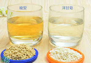 美林菊花晶一天喝幾次？美林菊花晶一天喝多少？