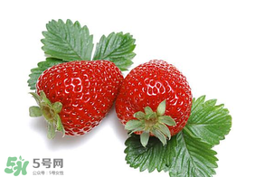 夏天有草莓嗎？夏天草莓結(jié)果嗎？