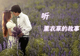 六月份還有薰衣草嗎？6月份哪里有薰衣草？