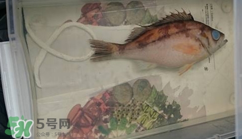 福爾馬林是什么？福爾馬林是甲醛嗎