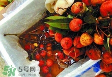 荔枝為什么要用藥水泡？荔枝藥水浸泡是否安全？