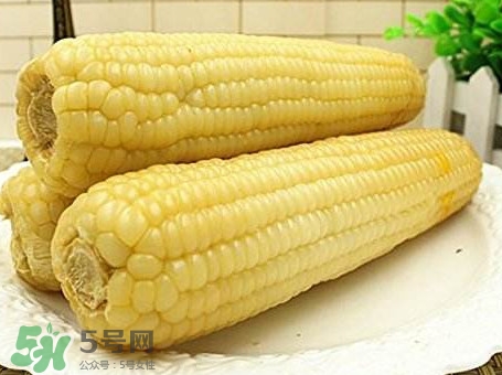 糯玉米有哪些營(yíng)養(yǎng)？糯玉米可以減肥嗎