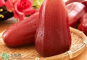 蓮霧什么季節(jié)吃最好？什么品種的蓮霧最好吃