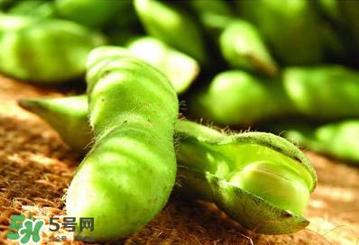 六月份可以種毛豆嗎？六月份毛豆怎么種植？