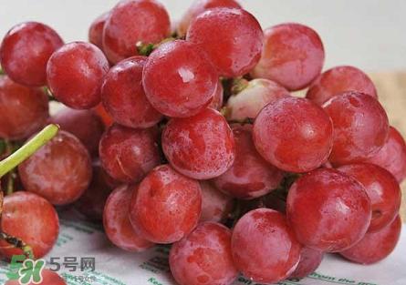 提子為什么會(huì)澀？提子澀怎么辦是沒(méi)熟嗎？