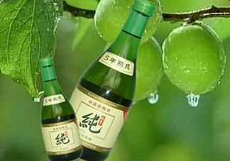 青梅酒泡多久可以喝？青梅酒好喝嗎？