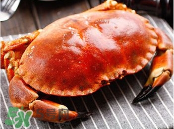 面包蟹是哪里產(chǎn)的？面包蟹哪里不能吃圖解