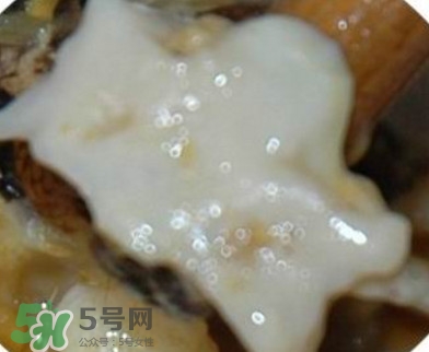 面包蟹是哪里產(chǎn)的？面包蟹哪里不能吃圖解