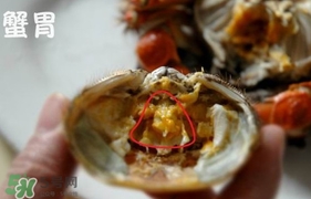 面包蟹是哪里產(chǎn)的？面包蟹哪里不能吃圖解