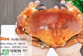 速凍面包蟹如何處理？活面包蟹怎么處理清洗