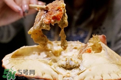 面包蟹什么季節(jié)吃最好？面包蟹什么時(shí)候最有黃