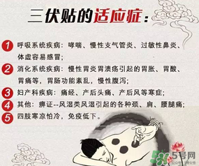 三伏貼能治什么病？三伏貼能治哪些病？