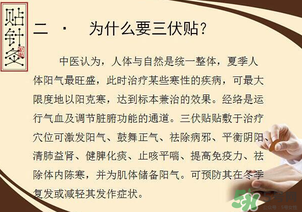 三伏貼能治什么??？三伏貼能治哪些病？