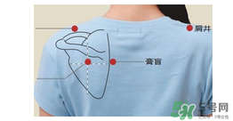 三伏貼貼在什么位置？三伏貼貼哪里？