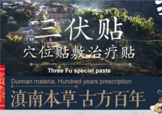 三伏貼貼在什么位置？三伏貼貼哪里？