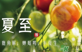 夏至是什么意思？夏至的習(xí)俗有哪些