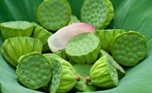 新鮮蓮子什么時候有？新鮮蓮子幾月有？