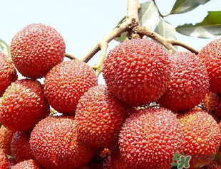 荔枝吃多了會胖嗎？吃荔枝會長胖嗎？
