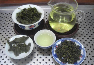 杜仲茶哪些人不適宜喝？杜仲茶飲用注意事項