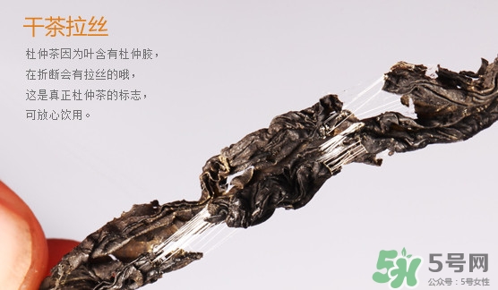 杜仲茶每天喝多少合適？杜仲茶喝多有什么不好
