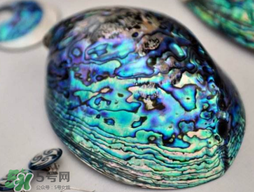 nike air foamposite one abalone鮑魚噴多少錢？