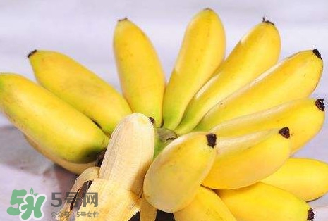 芭蕉和香蕉哪個(gè)貴？芭蕉和香蕉哪個(gè)好