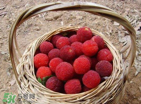 煮楊梅汁需要煮多長時(shí)間？楊梅汁怎么煮？