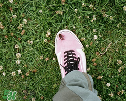 stussy與vans2017春夏系列聯(lián)名鞋子什么時候發(fā)售？