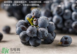 無(wú)籽葡萄孕婦能不能吃？無(wú)籽葡萄和葡萄的區(qū)別