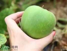 梨瓜是熱性還是涼性？梨瓜是酸性還是堿性？