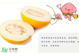 黃金瓜熱量高嗎？黃金瓜會(huì)胖嗎？