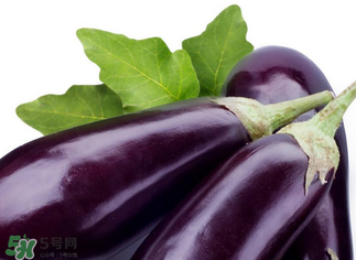 茄子怎么挑選？如何挑選茄子？