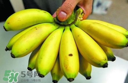 芭蕉不熟可以吃嗎？芭蕉怎么催熟