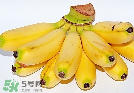 芭蕉熱量高嗎？芭蕉可以減肥嗎